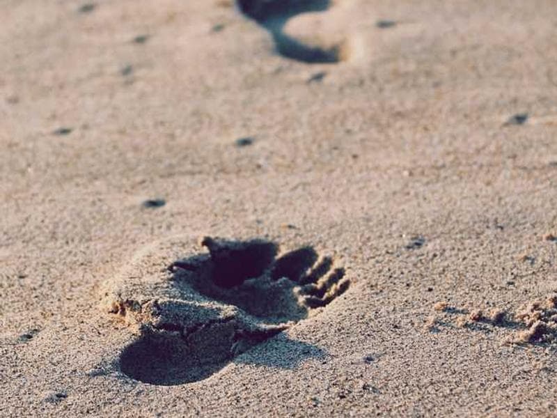 NVIDIA RTX 6000 Super